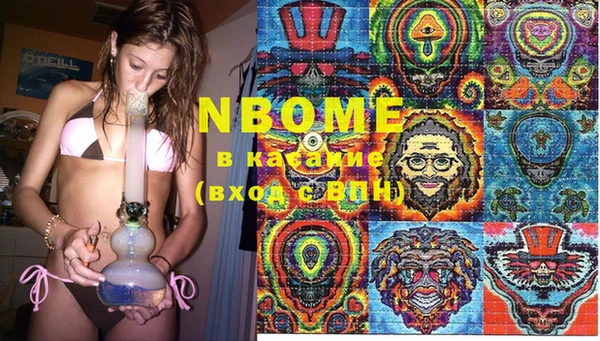 крисы Ельня