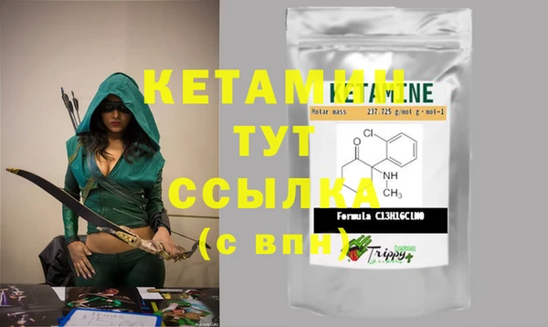 крисы Ельня