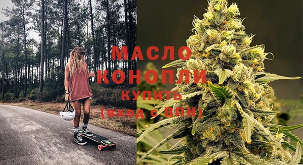 крисы Ельня