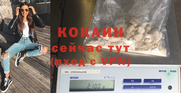 крисы Ельня