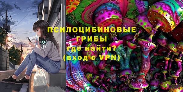 крисы Ельня