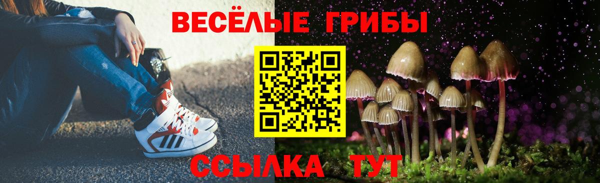 Саяногорск  Псилоцибиновые грибы прущие грибы  Вход с VPN 
